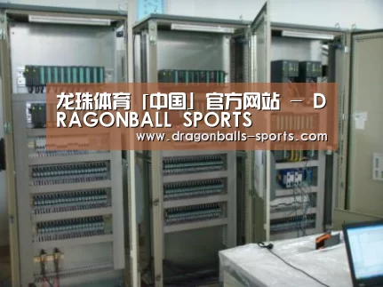 龙珠体育app比分直播案例展示五