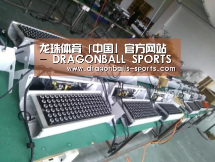 龙珠体育app比分直播案例展示一(图1)