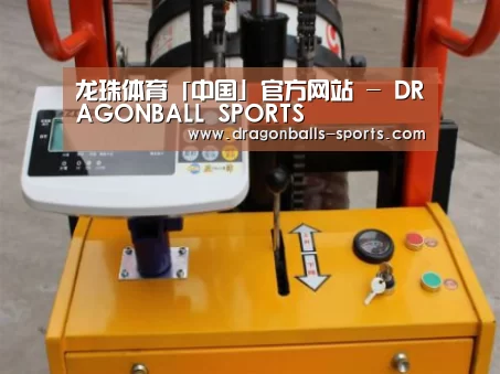 龙珠体育app比分直播案例展示三(图1)
