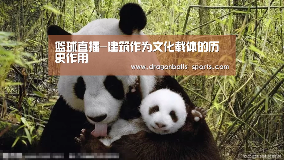  赛事数据直播