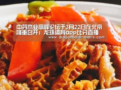  足球直播