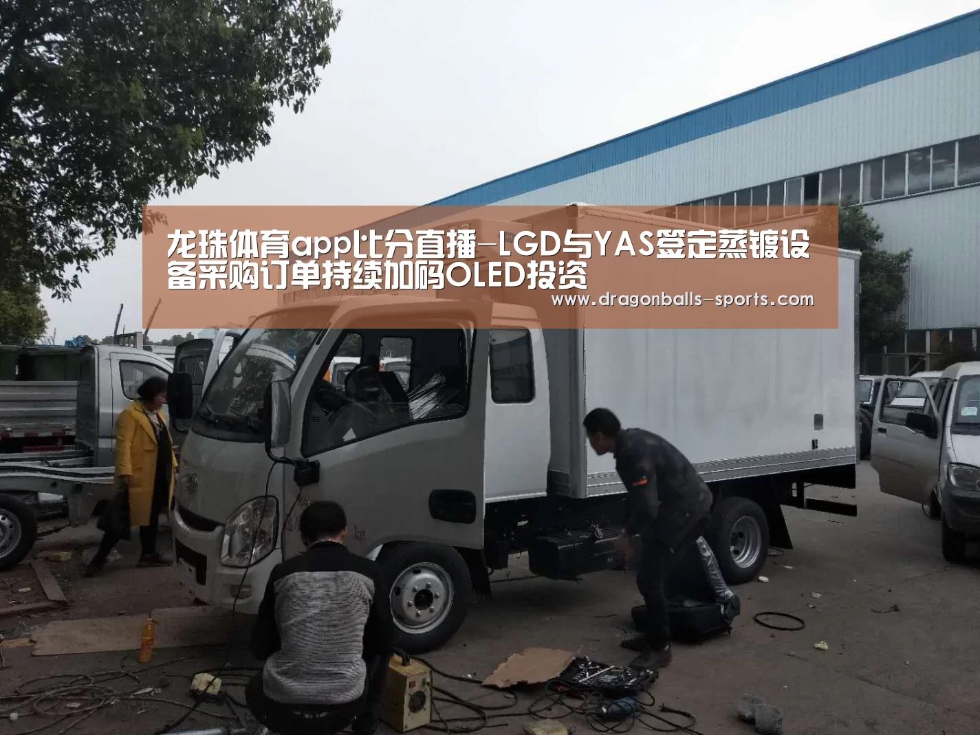 龙珠体育app比分直播