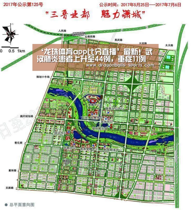 龙珠体育app比分直播