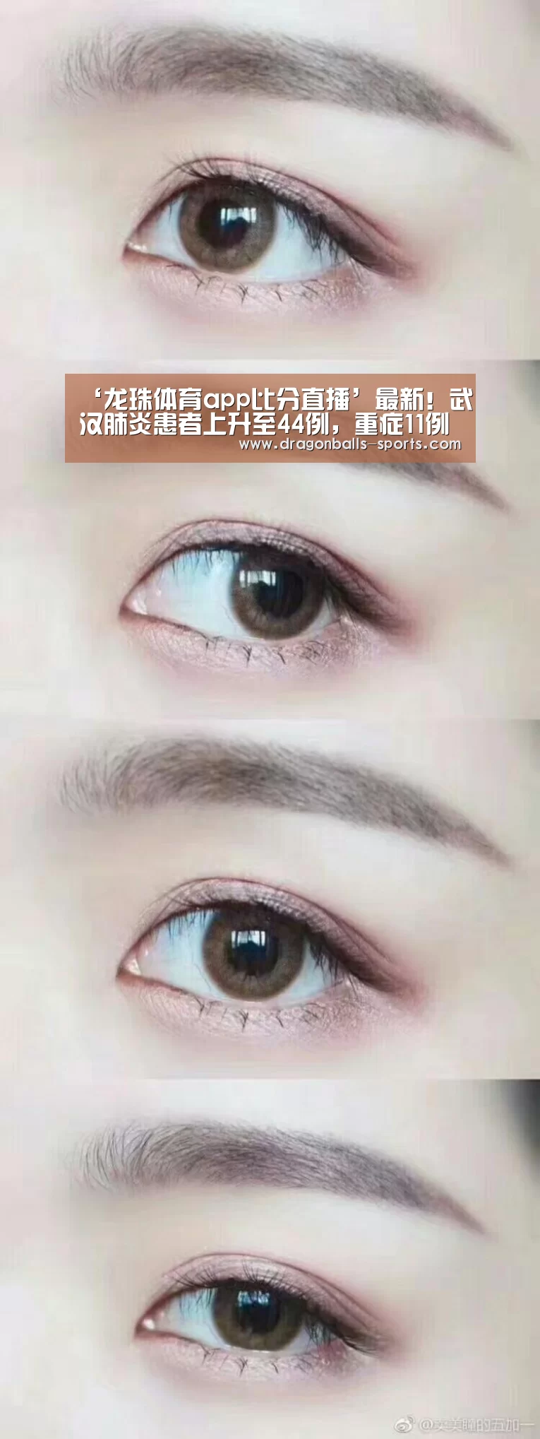  篮球直播