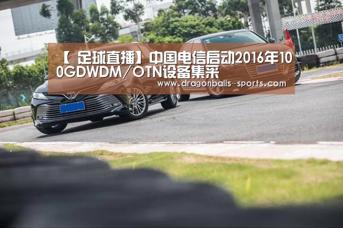 龙珠体育app比分直播