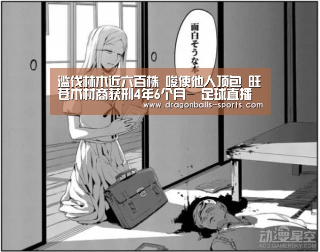  篮球直播
