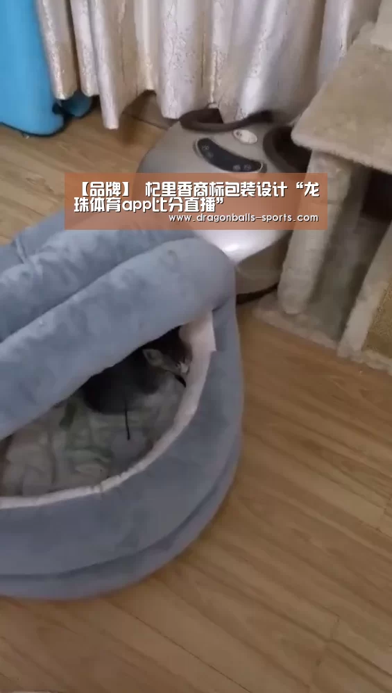 龙珠体育app比分直播