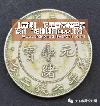  实时比分
