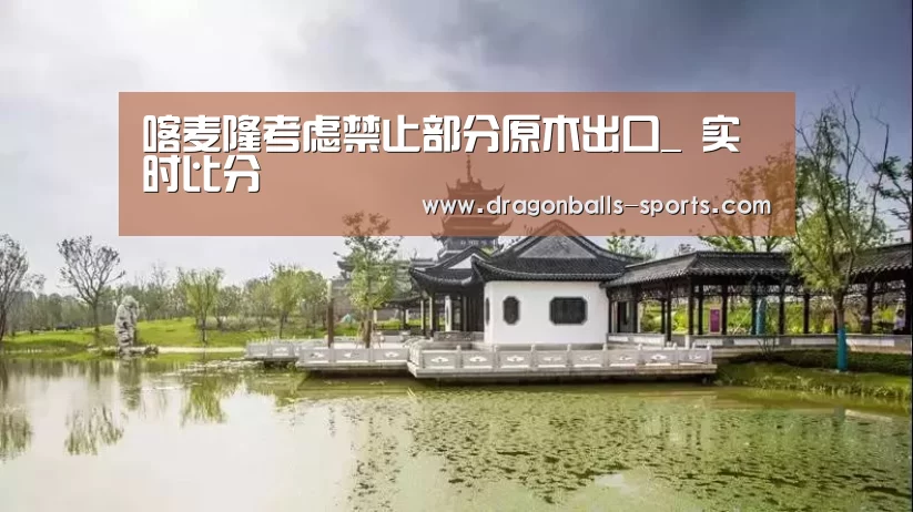  篮球直播